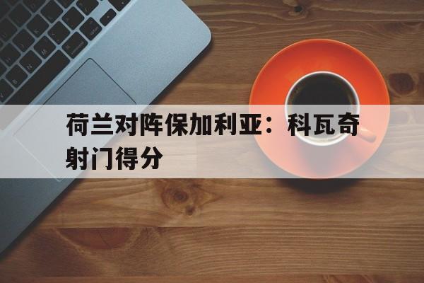 荷兰对阵保加利亚：科瓦奇射门得分