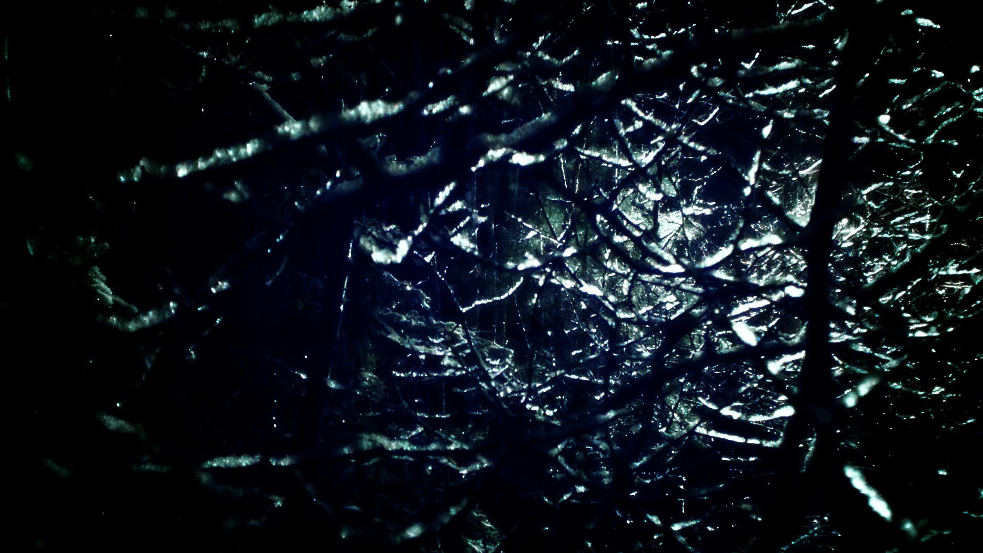 宿命回响，当绿军铁蹄踏破明尼苏达，福克斯在巴黎前夜发出最强音