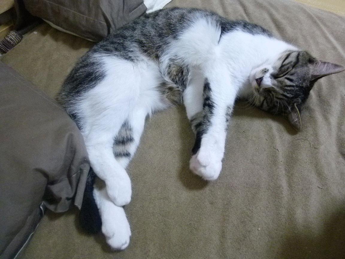 绝杀之夜的真相，当布伦森不再是锦上添花的辅助者