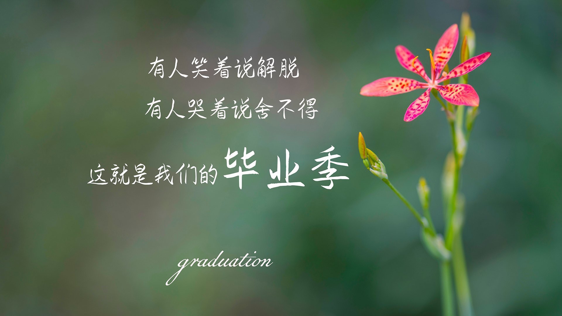 闪耀东决关键战之夜!杰伦格林,天生为大场面而生