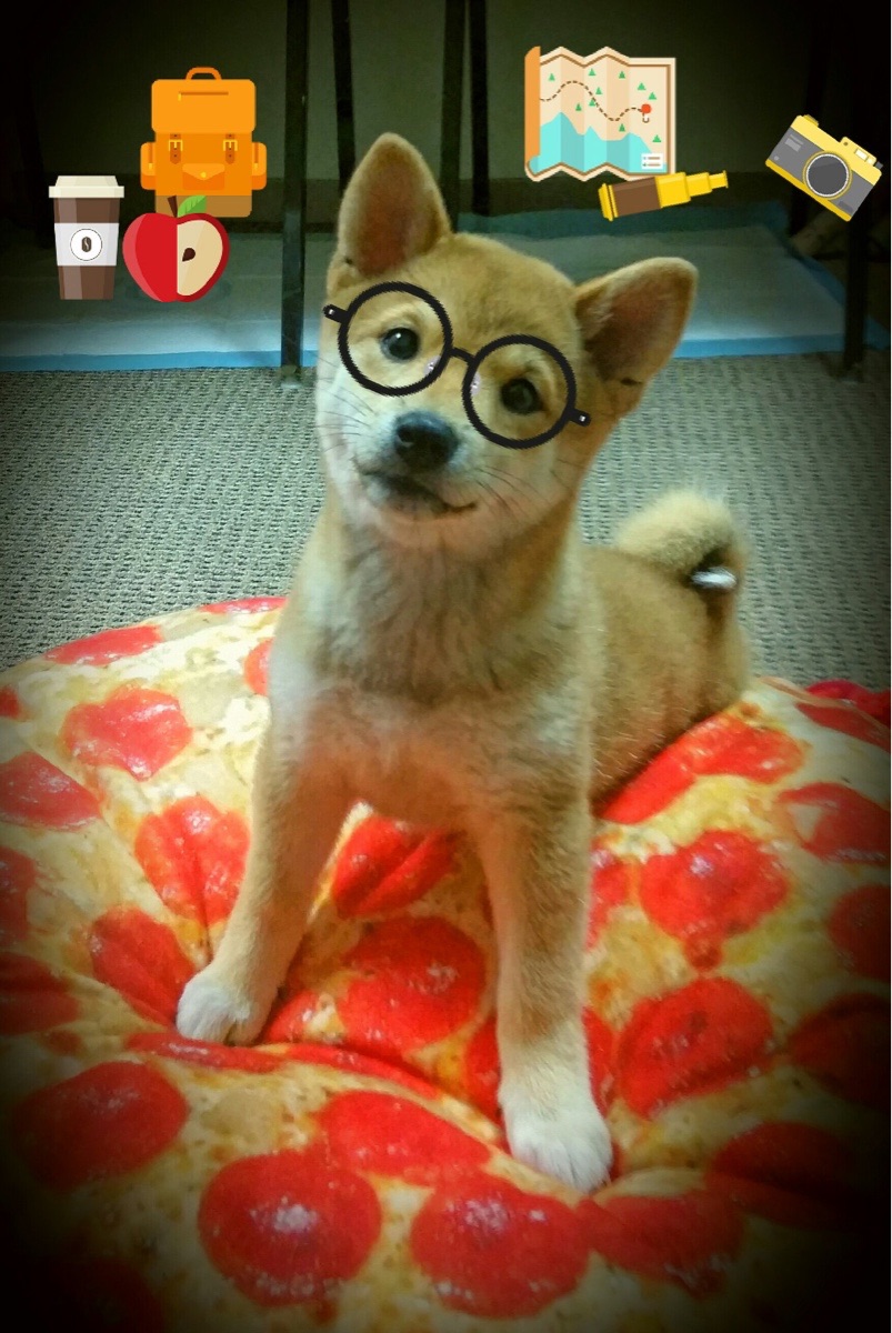 世俱杯2025-寒光乍现，东决关键战之夜，伊萨克利刃出鞘无人可挡