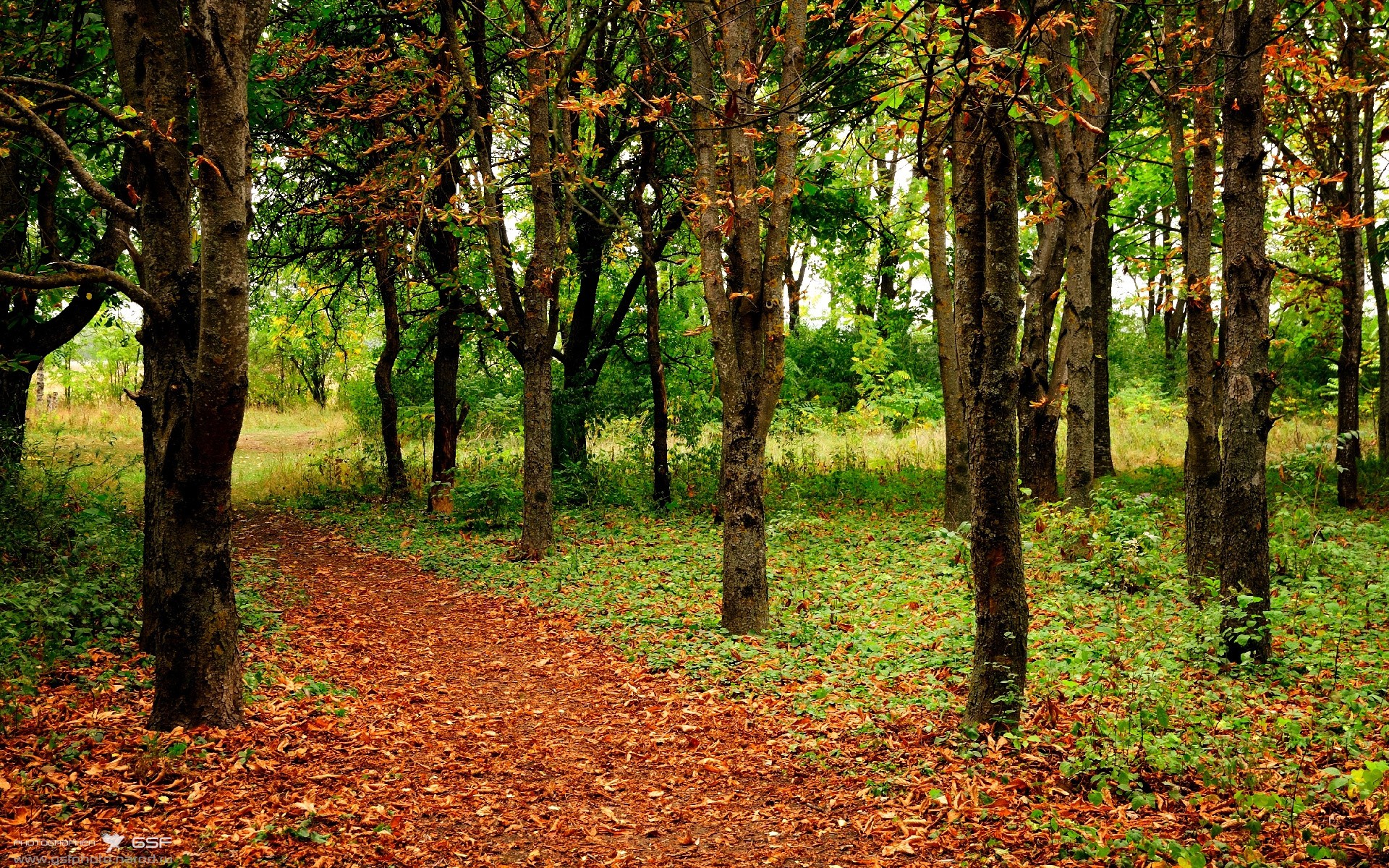 稳定之刃，尼斯对决拉齐奥，哈兰德输出不息
