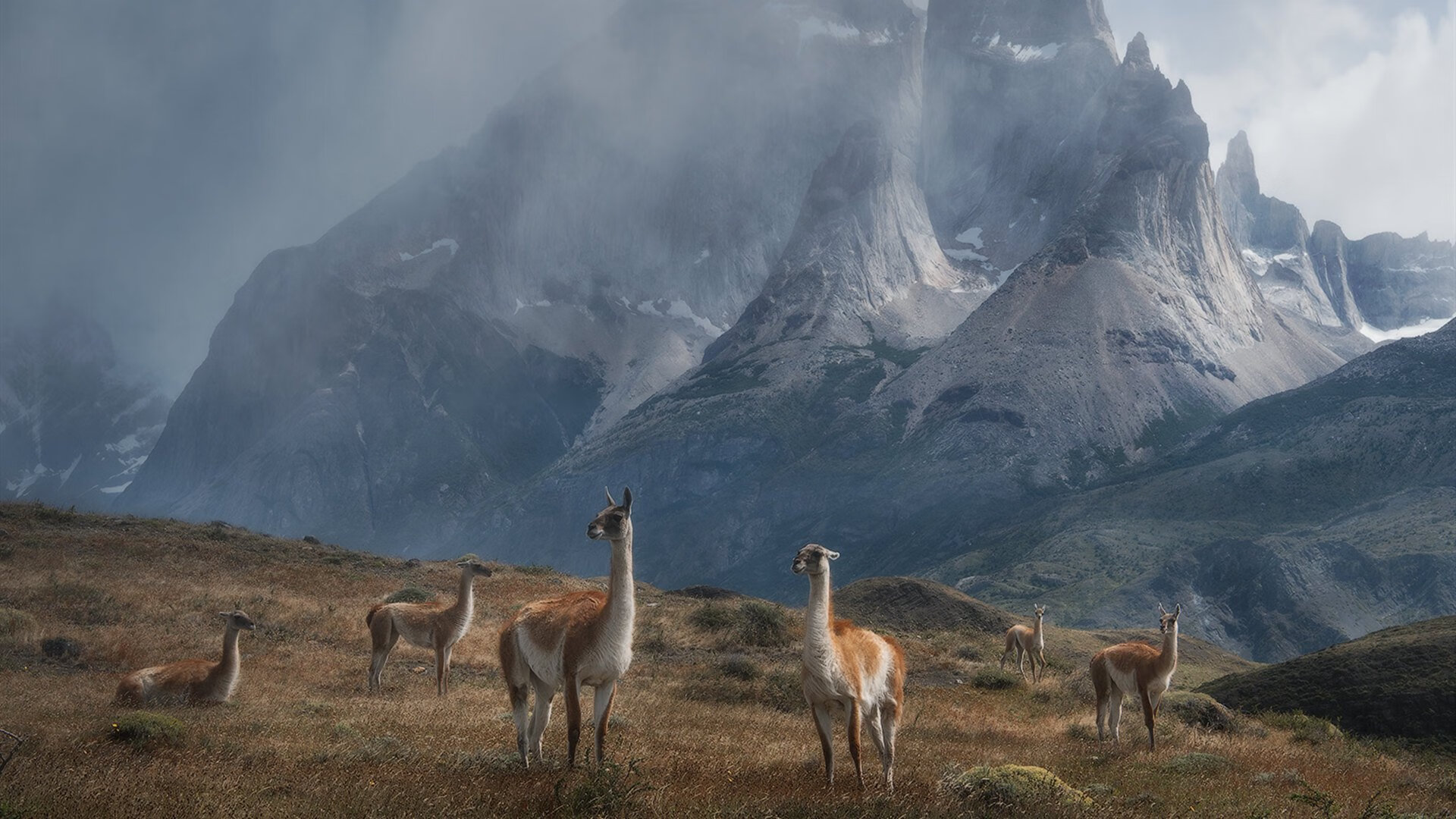 世俱杯时间-跨洲双城记，广厦碾压吉林显统治力，拉文在英超争冠时刻接管比赛