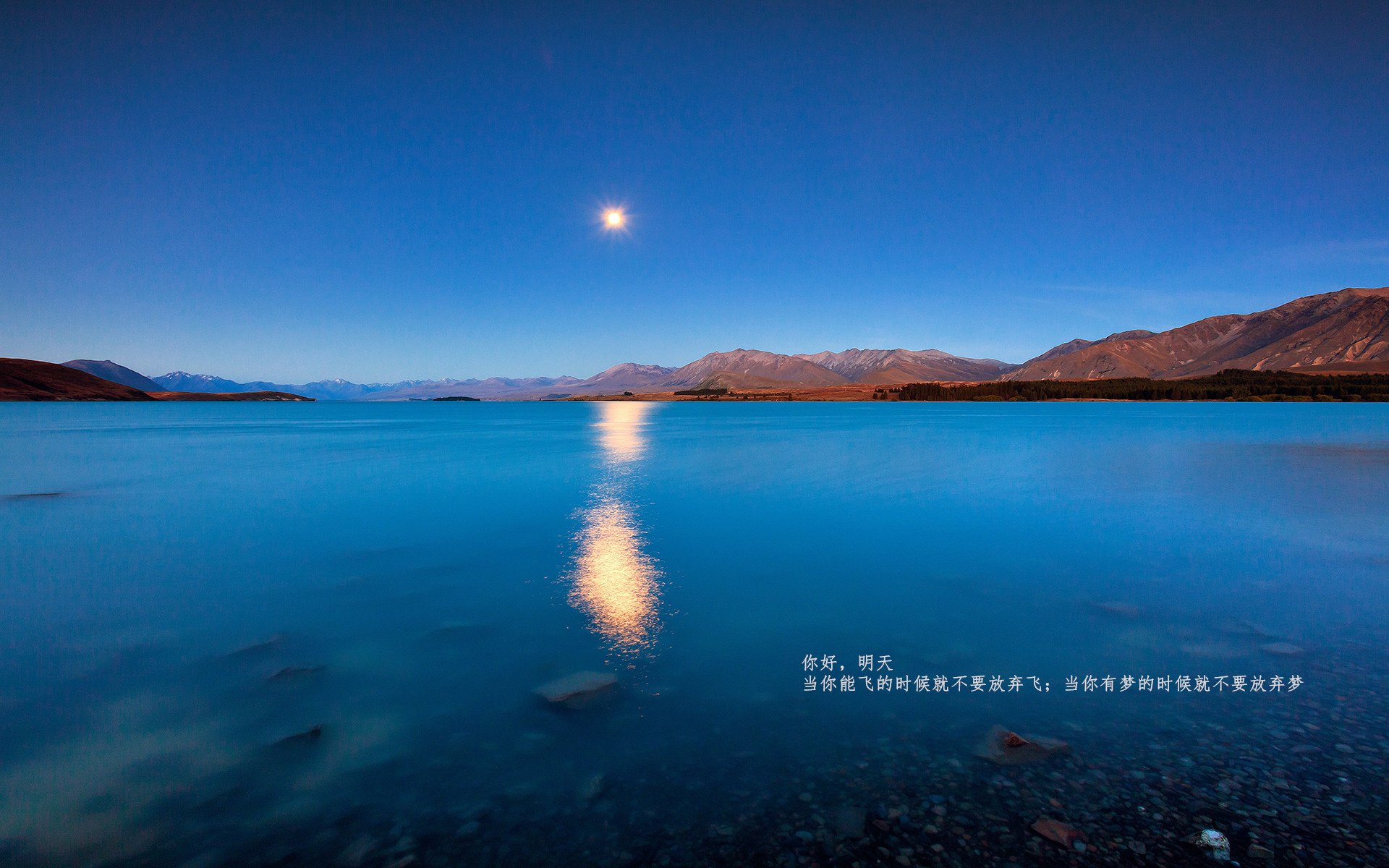 天神降世！锡安一剑封喉，深圳绝境逆袭掀翻辽宁王朝