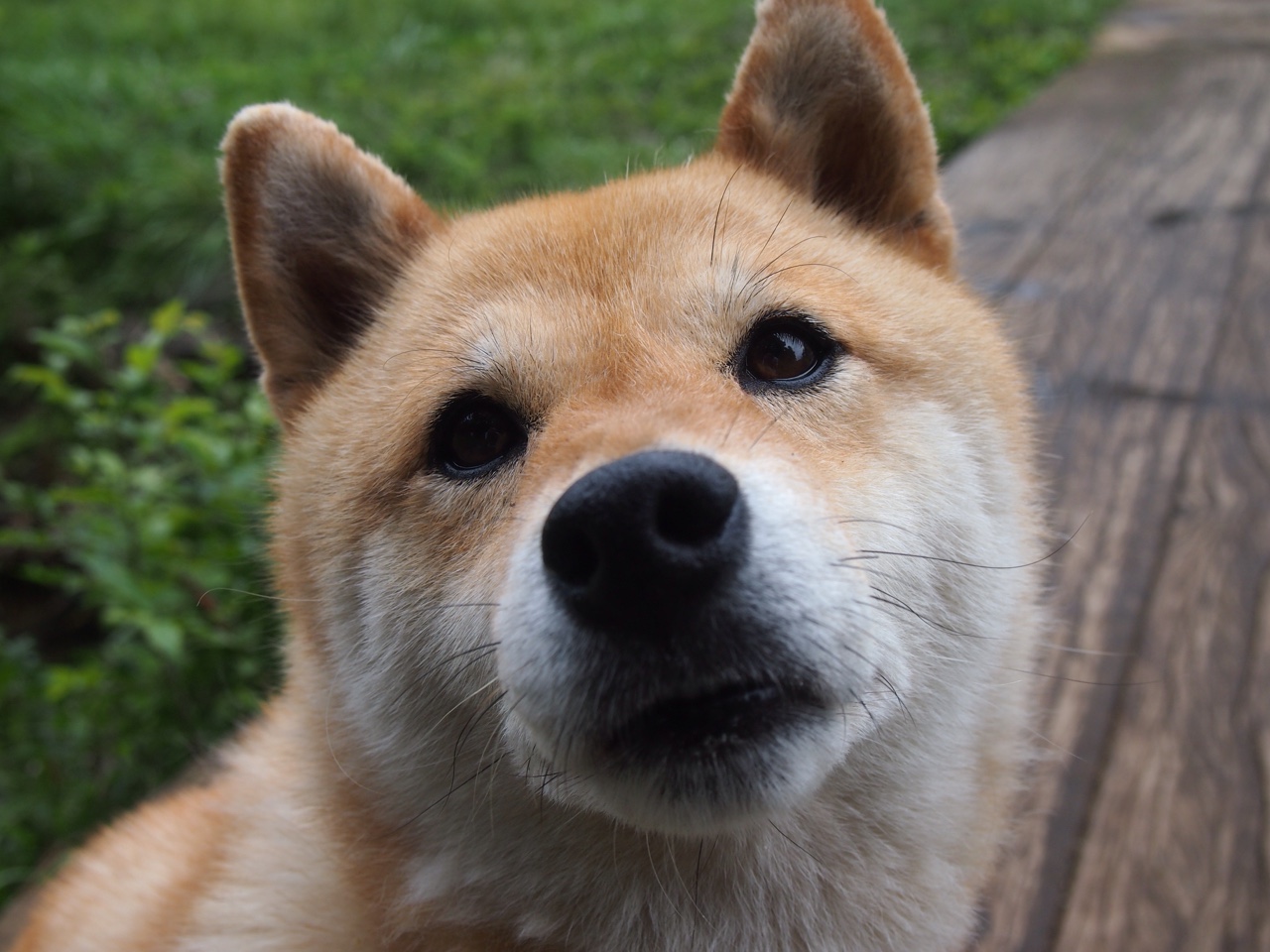 平行宇宙的篮球奇点,当新疆队遭遇乔治的生涯之夜