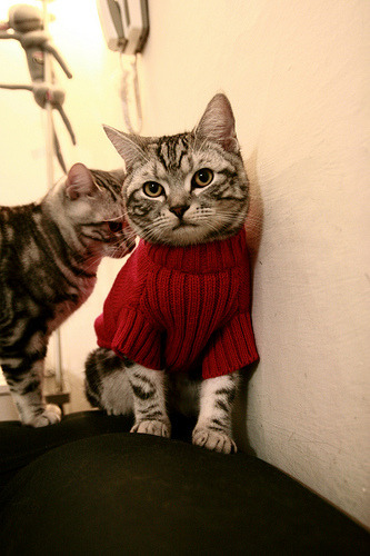 双线焦点，F1新赛季揭幕战与冰岛鏖战法国的激情之夜