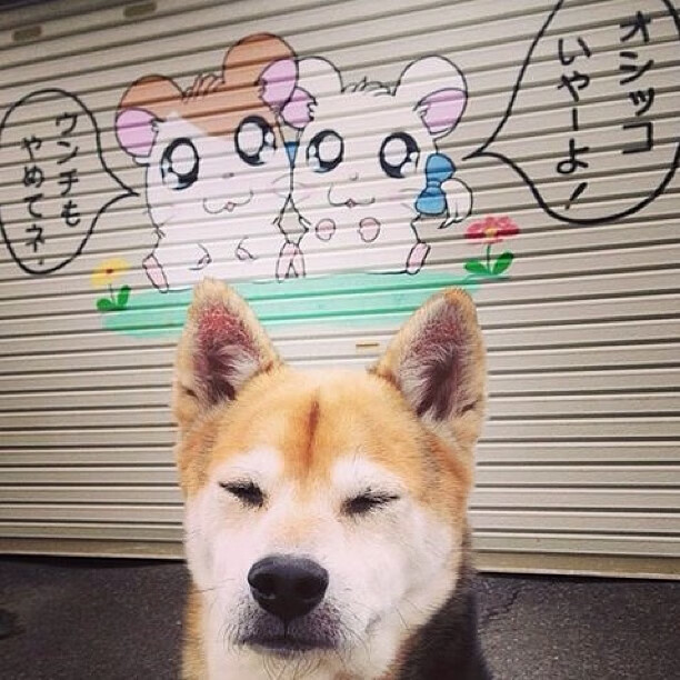 世俱杯决赛-舞台之上，孤星与银河，詹姆斯统治力与马刺绝杀背后的篮球哲学