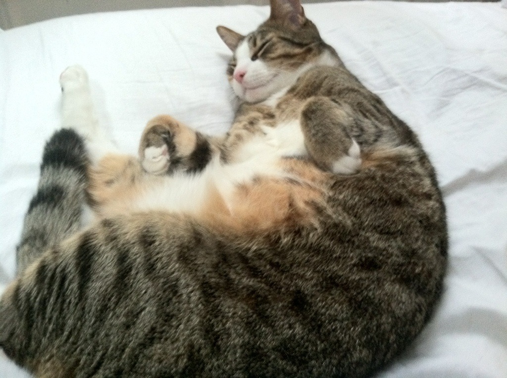 舞台之上，孤星与银河，詹姆斯统治力与马刺绝杀背后的篮球哲学