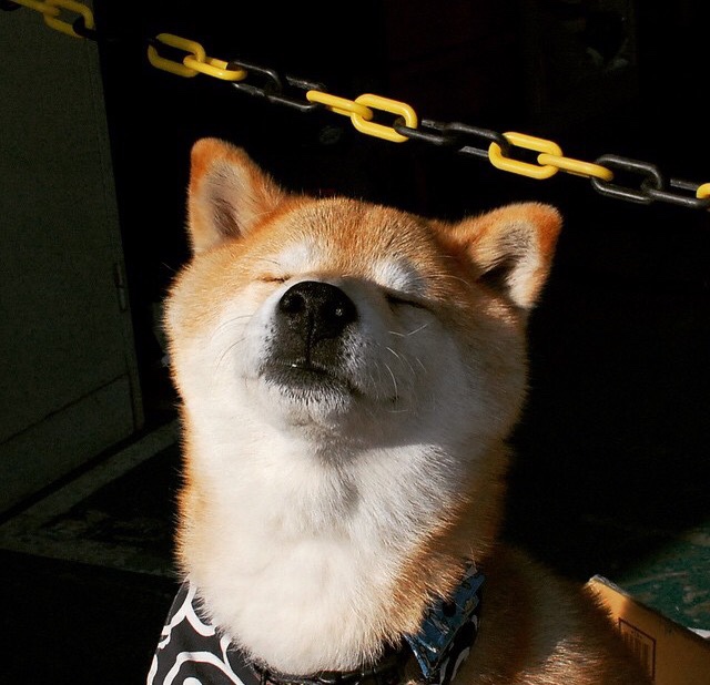 世俱杯时间-东契奇攻防两端统治全场，开拓者主场力克篮网奏凯歌