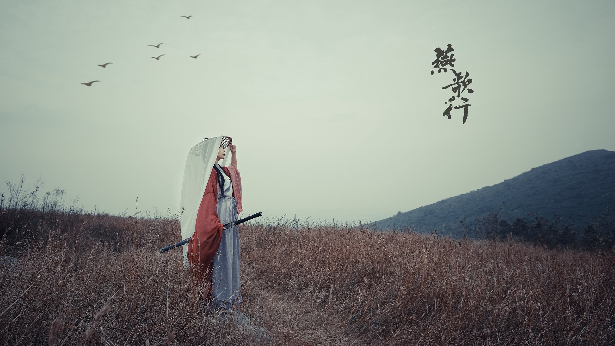 世俱杯决赛-钢铁之躯与烈焰之魂，厄瓜多尔如何以秩序强行终结摩洛哥的拉亚式爆发