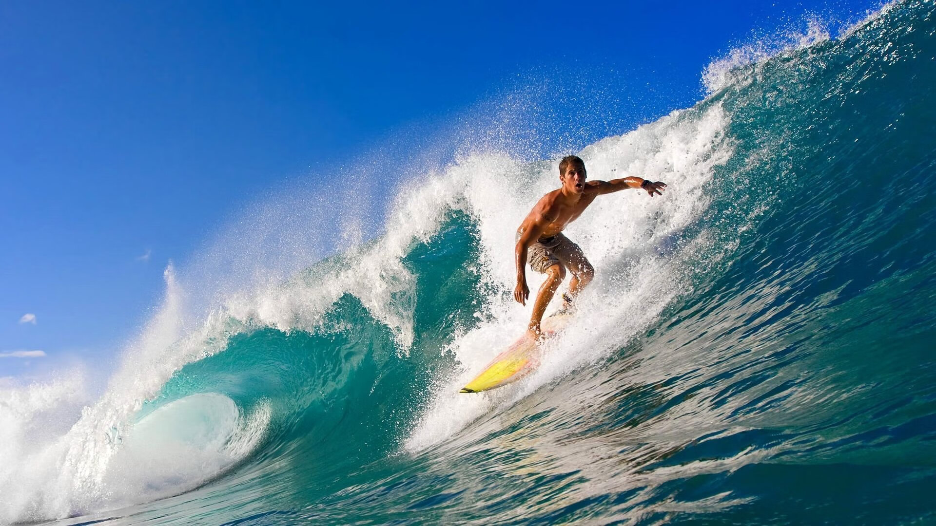 新王加冕，爱德华兹利刃出鞘，斩落国王铁骑于明尼苏达雪原