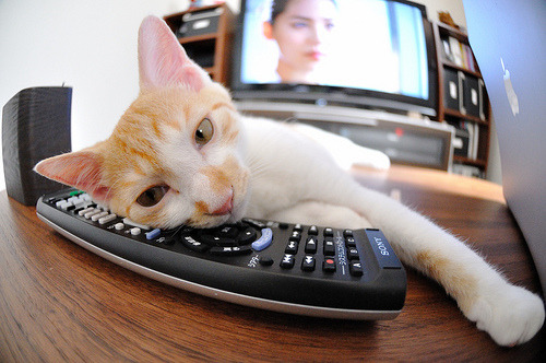 世俱杯决赛-英格拉姆决胜时刻独取12分，开拓者正面击溃国王锁定季后赛席位