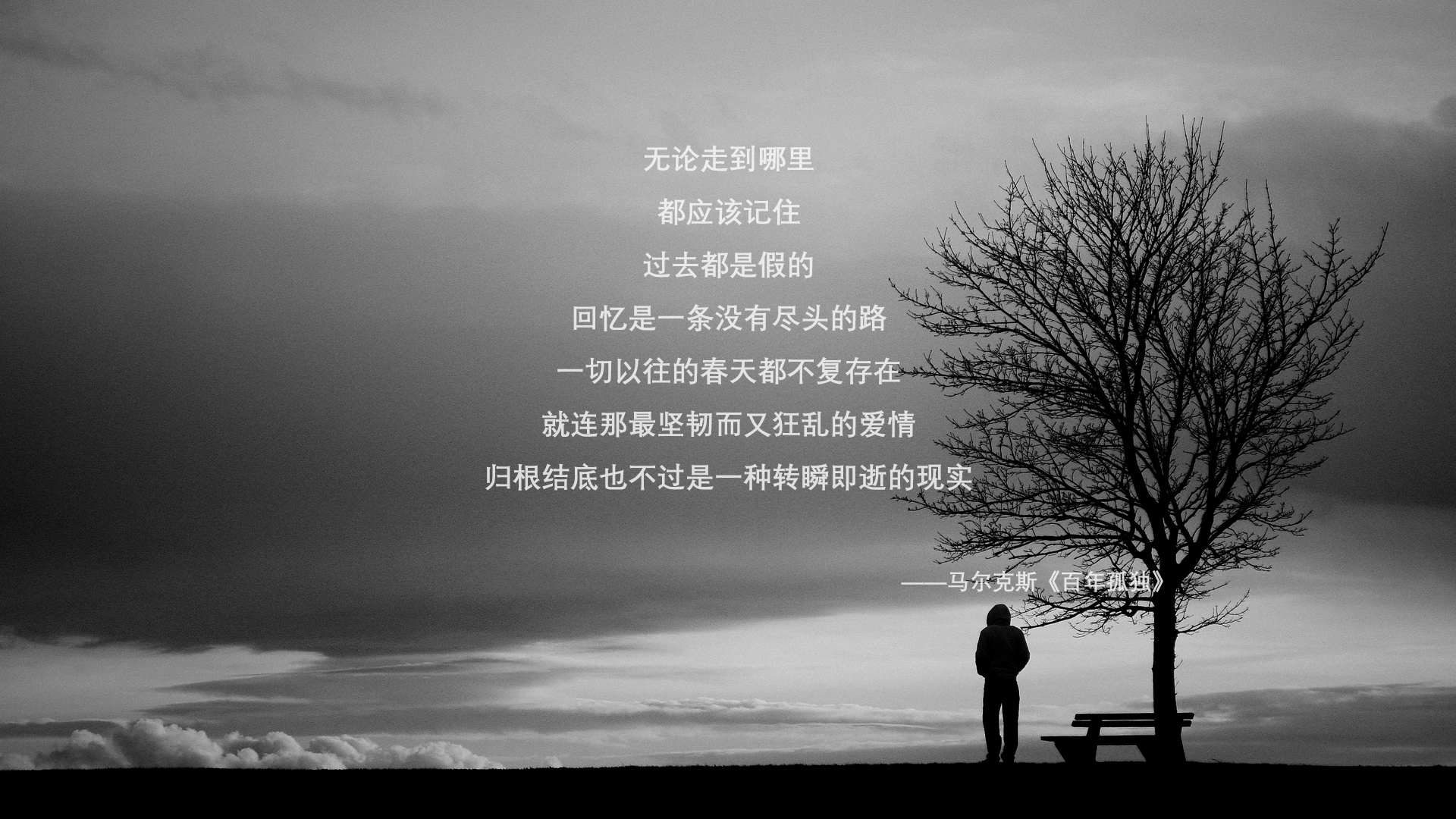 2026世界杯F组强强对话,匈牙利铁骑碾压伊拉克,登贝莱独舞闪耀全场