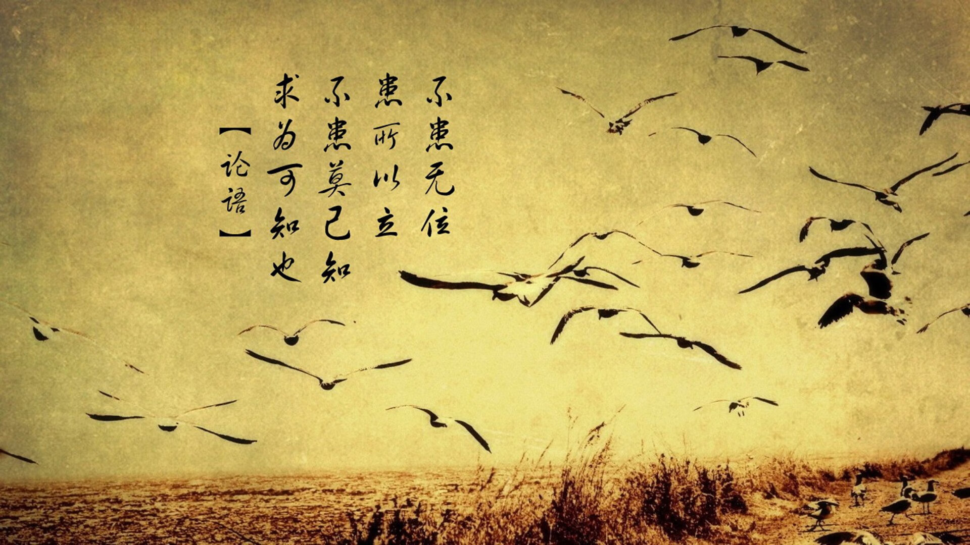 致命一击背后的智慧，匈牙利如何用防守反击在2026世界杯C组掀翻日本