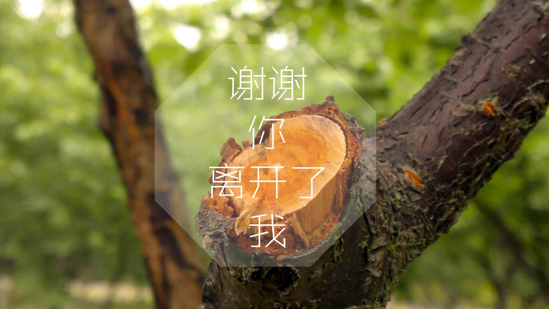 世俱杯决赛-冰锋对决,2026世界杯黑马之战,芬兰对阵匈牙利,维尼修斯中场定乾坤